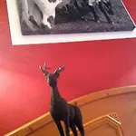 ホテル ガムソフ 3*
