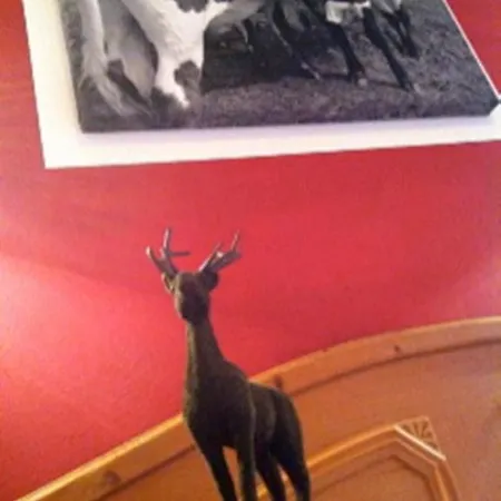 Hotel Gamshof 3*