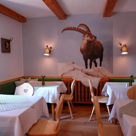 Gamshof 3* Kitzbühel