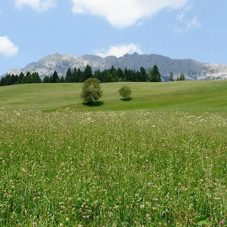 Gamshof 3* Kitzbühel