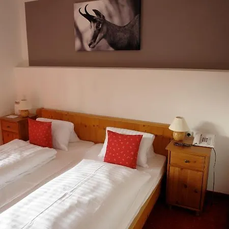 Hotel Gamshof 3*