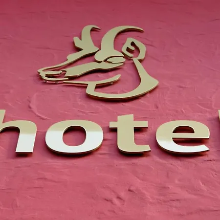 Gamshof Hotel Kitzbühel