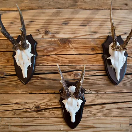 Gamshof Hotel Kitzbühel