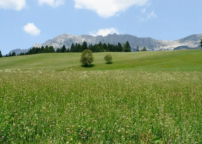 Gamshof 3* Kitzbühel